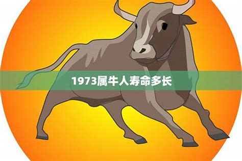 属牛1973|1973年属牛的人是什么命 1973牛命晚年很苦